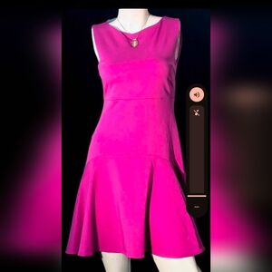 The Limited Fuchsia Dress